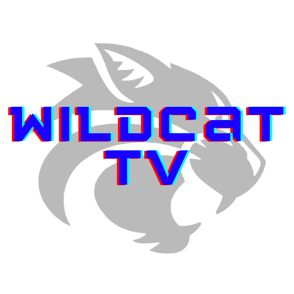 Wildcat TV